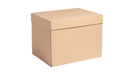 Versandkarton Eco Cool Box Kartonschachtel mit Deckel für gekühlten Versand, Motiv: &quot;unbedruckt&quot;, L 400 mm x B 300 mm x H 300 mm, Qualität: B-Welle, braun, flach angeliefert, Komponenten