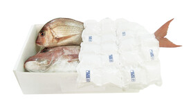 Kühlpads PolarPads für gekühlten Versand, B 280 mm x L 400 mm, transparent, 24 Zellen per Zuschnitt, Abreissperforation in der Mitte nach 12 Kühlzellen (Format: 140x400 mm), ungiftig, wiederverwendbar, A-Nr.: 12225 - 01