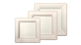 Einwegteller FAIRPAC, Bagasse, quadratisch