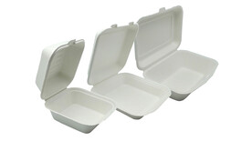 Menübox to go FAIRPAC, Bagasse, rechteckig