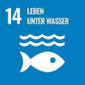 Meier Verpackungen - UN-Nachhaltigkeitsziel - Leben unter Wasser