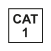 CAT I