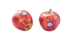 Sinclair Labels, Etiketten, Meier Verpackungen