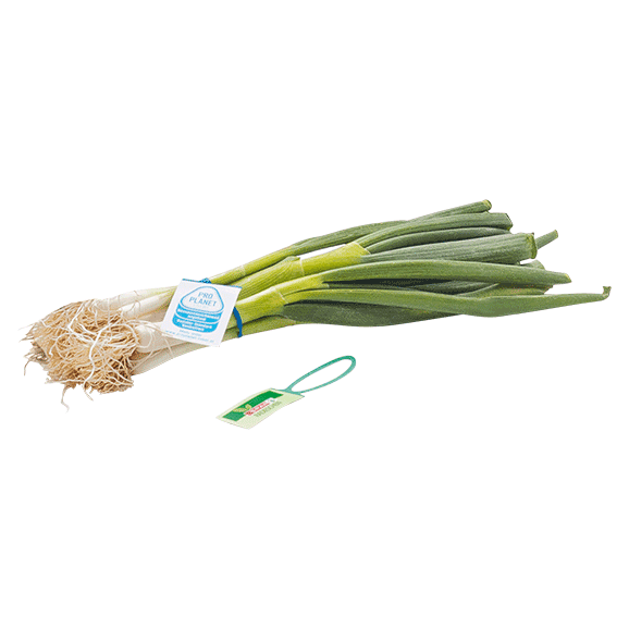 Elastitag Anhängeetiketten von Meier Verpackungen Meier Verpackungen - Elastitag, Anhängeetiketten, Etiketten zum Bündeln und Kennzeichnen