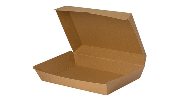 Klappbox, 290 x 170 x 85 mm, Kraftpapier, natur, mit anhängendem Deckel, A-Nr.: 11344 - 01